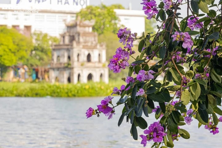 Tháng 5, miền Bắc vẫn mát mẻ không thua kém gì mùa thu khiến dân mạng thích thú. (Ảnh minh họa: Minh Đức)