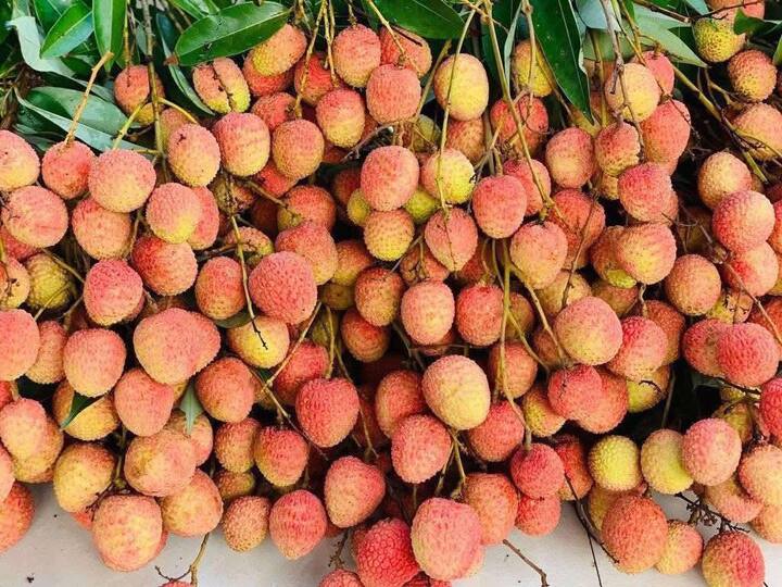 Chợ mạng rao bán vải u hồng chín sớm, giá rẻ bất ngờ