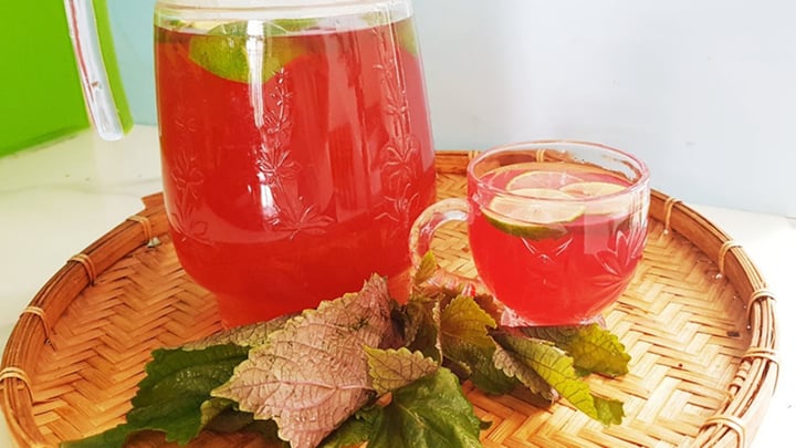 Lá tía tô thường được rửa sạch rồi nấu làm nước uống hay dùng pha trà. (Ảnh minh họa)