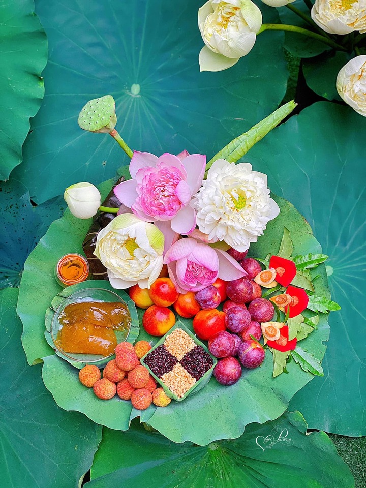Chủ nhân mâm cỗ Tết Đoan ngọ này chuẩn bị hai loại hoa sen là sen super và sen táo trắng, rượu nếp cũng có hai loại là nếp cái hoa vàng và nếp cẩm. Ngoài các món ăn truyền thống như bánh gio mật mía, mận hậu, vải, đào... còn có cả trầu têm cánh phượng, tất cả đặt trên "mâm" lá sen. (Ảnh: Ngọc Phượng)