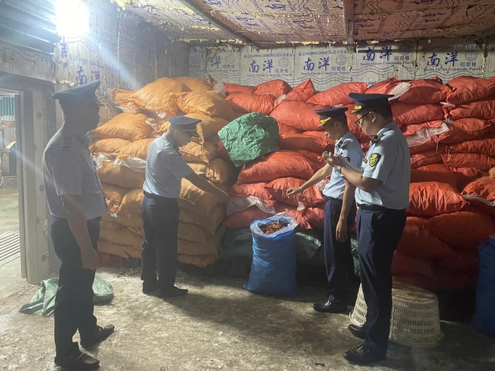 Hơn 6 tấn chân gà đã qua sơ chế được đóng trong các bao tải chờ đi tiêu thụ