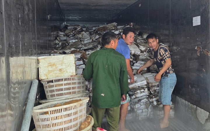 Hàng hóa được cất giấu trong các kho đông lạnh