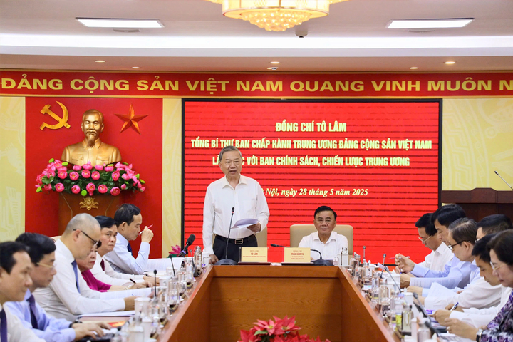 Tổng Bí thư Tô Lâm làm việc với Ban Chính sách, chiến lược Trung ương về cơ chế, chính sách quản lý hiệu quả thị trường vàng. (Ảnh: Thành Trung)