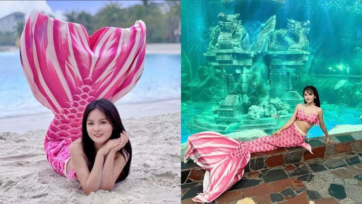 Nữ thạc sỹ xinh đẹp kể chuyện vui buồn nghề làm nàng tiên cá trong thủy cung - 2