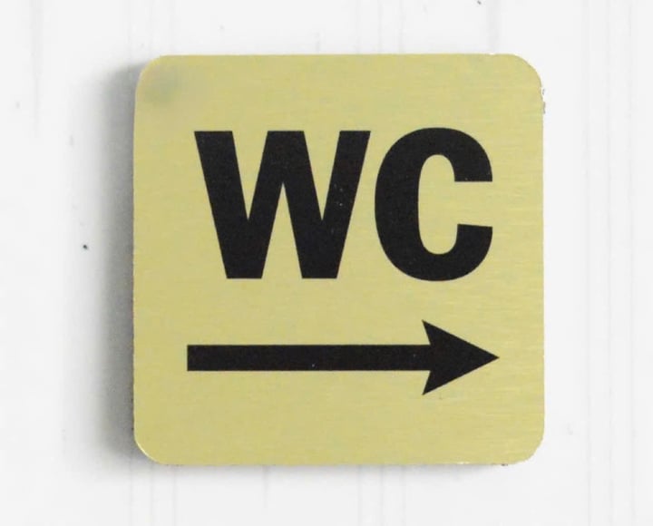 Từ 'WC' bạn thấy hàng ngày, nhưng không ai biết ý nghĩa thực của nó là gì? - 1