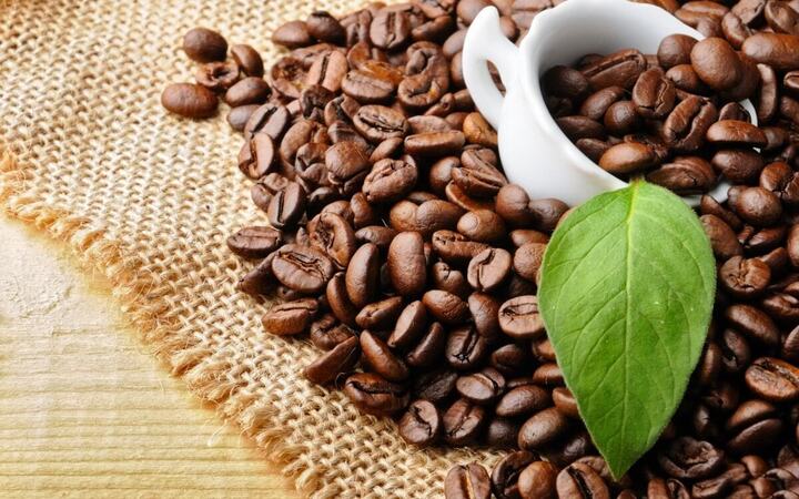 Giá cà phê thế giới và trong nước đồng loạt lao dốc.