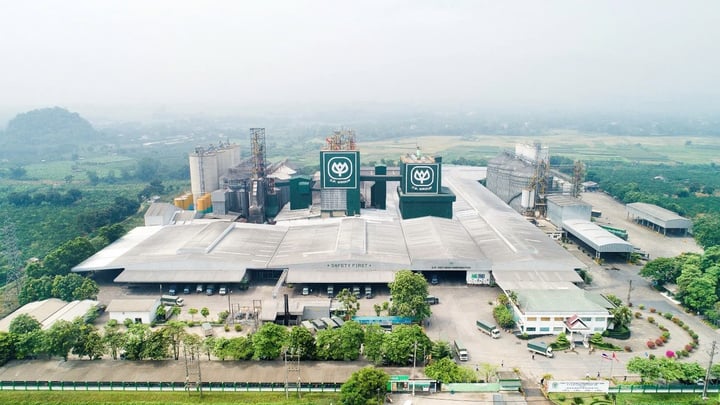 C.P. Việt Nam có một chuỗi cung ứng hoàn chỉnh với 8 nhà máy sản xuất thức ăn chăn nuôi gia súc và gia cầm, công suất hơn 5,3 triệu tấn mỗi năm.
