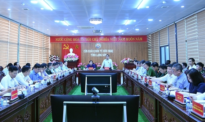 Phó Thủ tướng nhấn mạnh công tác chống buôn lậu, gian lận thương mại, hàng giả, xâm phạm sở hữu trí tuệ là công việc rất quan trọng, mang tính lâu dài, cần được tiến hành thường xuyên, toàn diện, liên tục. (Ảnh: VGP/Hải Minh).