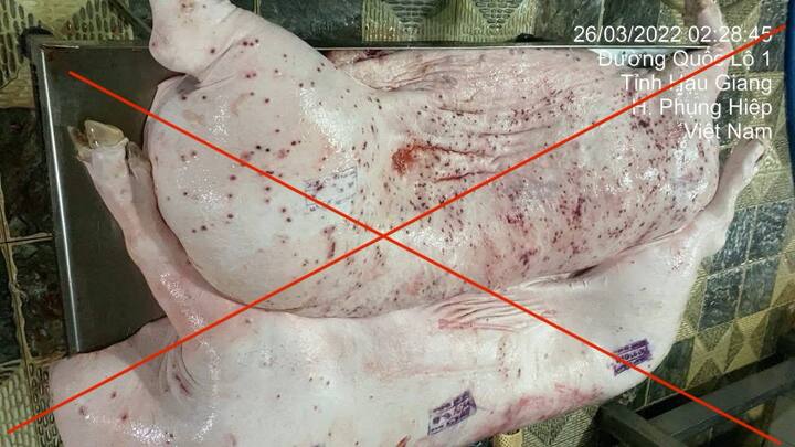 Bị tố bán thịt heo bẩn, Công ty C.P. Việt Nam lên tiếng