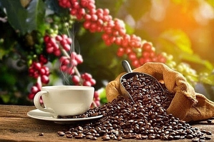 Giá cà phê trong nước và thế giới hôm nay tiếp tục giảm. (Ảnh minh hoạ).