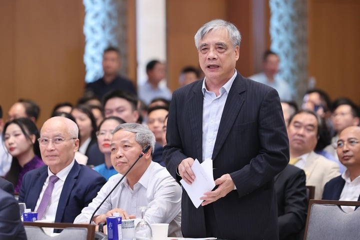 PGS.TS Trần Đình Thiên. (Ảnh: VGP)