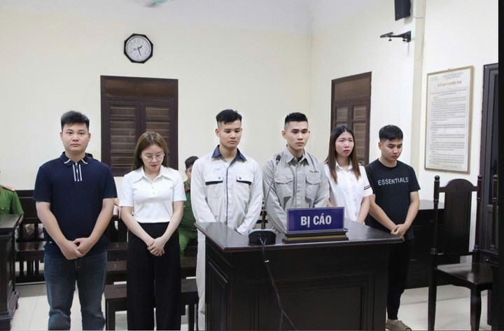 Hải Idol và các đồng phạm.