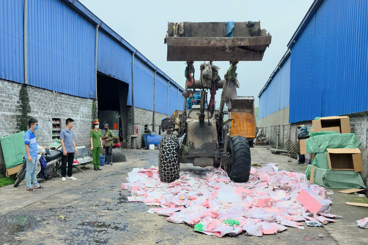 Quảng Ninh tiêu hủy gần 2.000 gấu bông Baby Three chứa chất độc hại