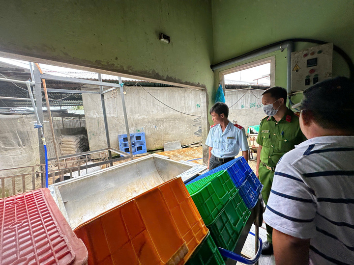 C.P. Việt Nam thừa nhận hình ảnh heo bệnh được chụp tại lò mổ gia công cho công ty