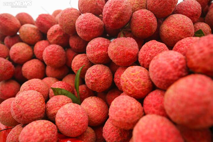 Cách chọn vải thiều ngon: Ưu tiên loại quả nhỏ, tròn đều. (Ảnh: Minh Đức)