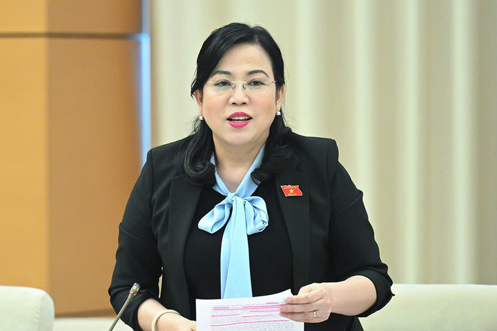 Chủ nhiệm Ủy ban Công tác đại biểu Nguyễn Thanh Hải.