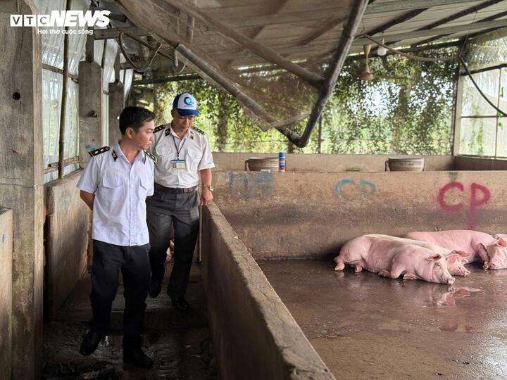 Đoàn kiểm tra liên ngành kiểm tra khu vực bên trong lò mổ.