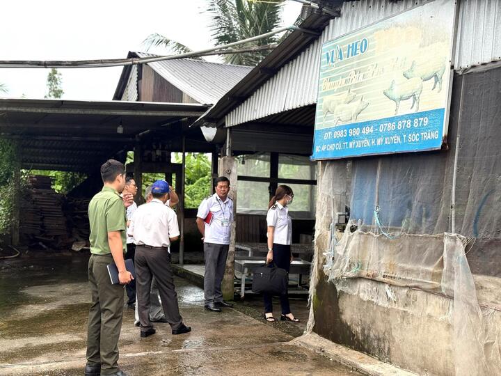 Đoàn kiểm tra liên ngành của tỉnh Sóc Trăng kiểm tra lò giết mổ heo thị trấn Mỹ Xuyên.