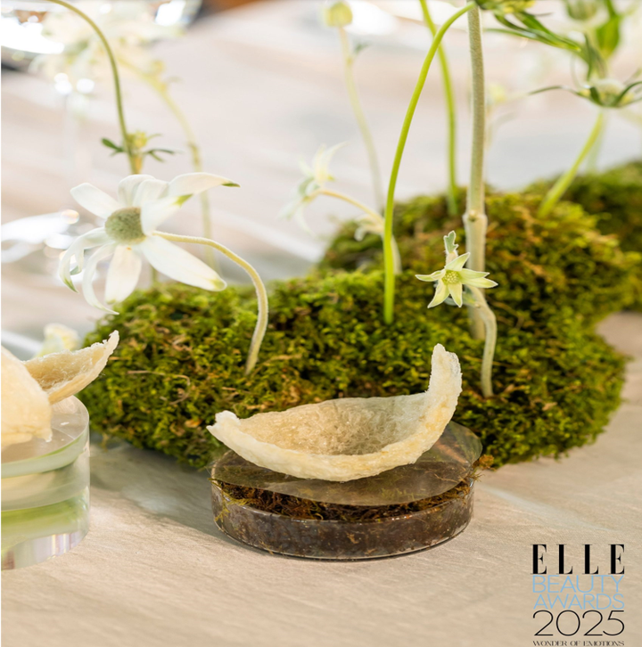 Workshop của lòng biết ơn - nơi xúc cảm nở hoa từ thinh lặng.