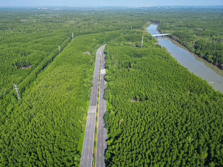 Tuyến Metro 4 tỷ USD nối Cần Giờ với trung tâm TP.HCM có thể khởi công đầu 2026