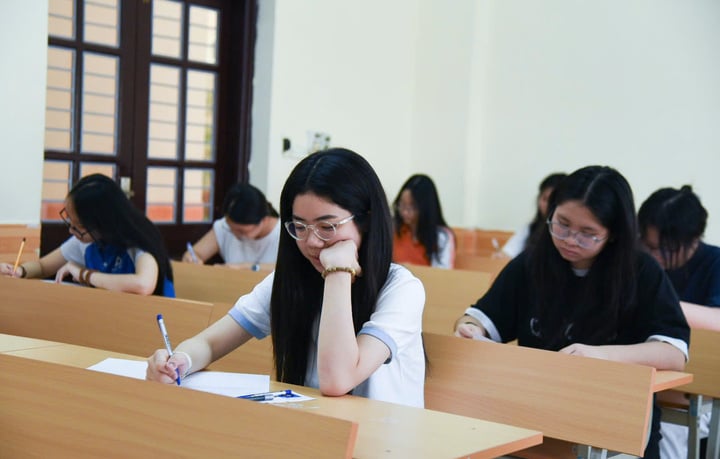 يركز المرشحون على استكمال الإجراءات والاستماع إلى إعلان لوائح الامتحان.