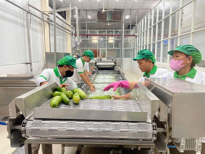 Thaphaco – Hành trình kết nối thảo dược Việt với công nghệ - 1