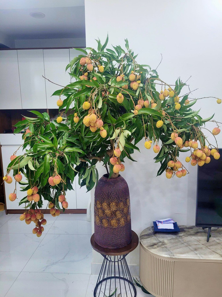 Một cành vải to được cắm trong bình gốm. (Ảnh: Autumn Chestnut)