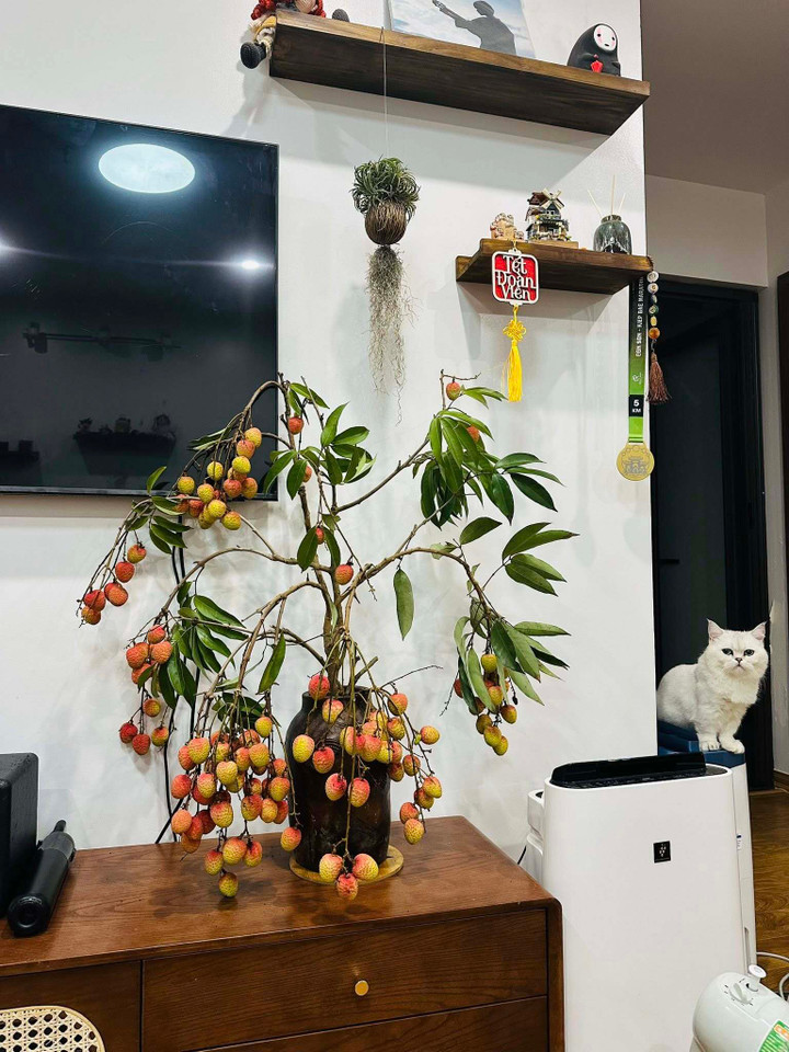 Trend cành vải cắm bình khiến những người mê cắm hoa 'phát sốt' - 2