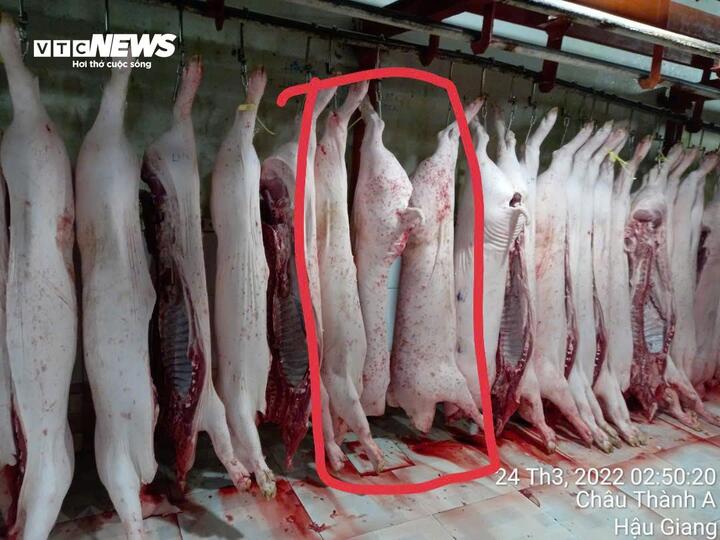 Hình ảnh ông Liễu Quý Ngân cung cấp cho PV Báo Điện tử VTC News.
