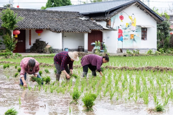 Cảnh sát đã lần ra dấu vết của Li tại một ngôi làng nhỏ ở Giang Môn. (Ảnh: Shutterstock)