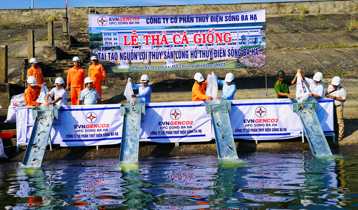 Lãnh đạo Công ty và khách mời cùng thả cá giống xuống lòng hồ Thủy điện Sông Ba Hạ.