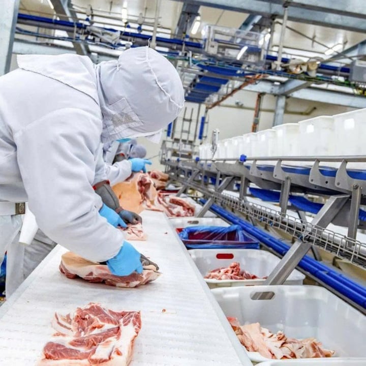 Quy trình sản xuất thịt heo khép kín của một nhà máy đạt chuẩn quốc tế do doanh nghiệp Việt Nam đầu tư. (Ảnh: Dạ Lý)