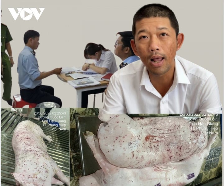 Anh Liễu Quý Ngân - người tố cửa hàng C.P bán thịt lợn bệnh.