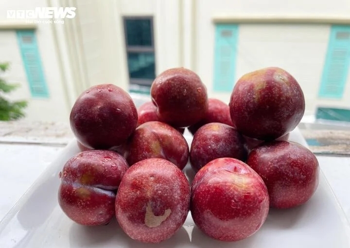 Những lưu ý quan trọng khi ăn quả mận