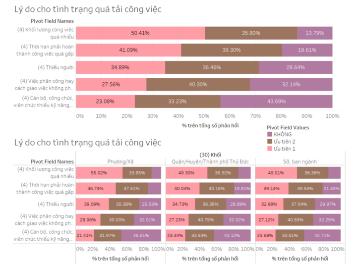 Thống kê lý do quá tải công việc.