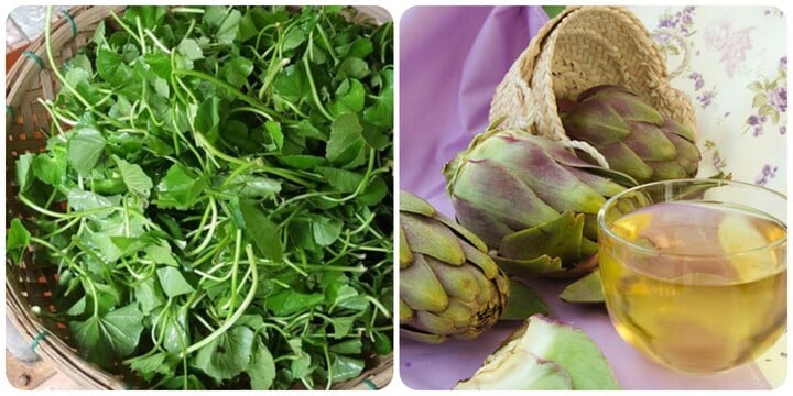 Rau má và bông atiso có tác dụng thải độc gan rất hiệu quả