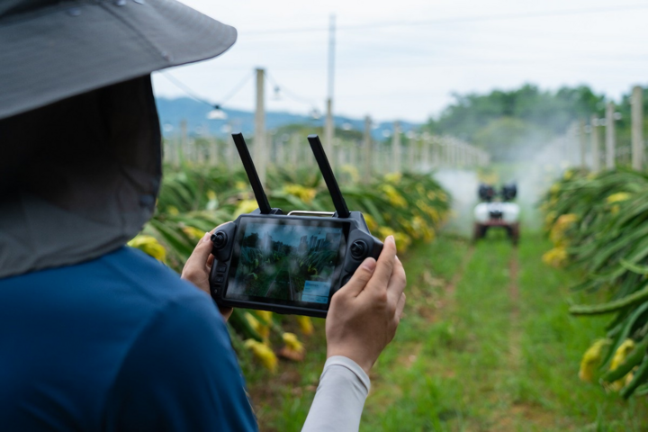 Los drones están trabajando en los campos de China.
