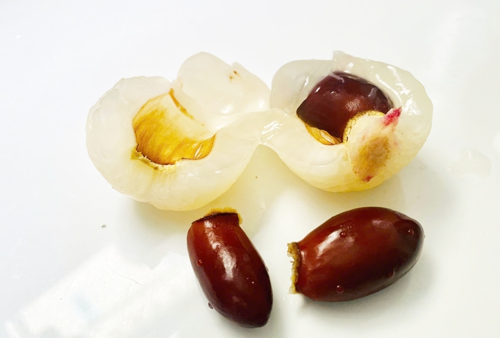 Bài thuốc trị bệnh từ hạt vải