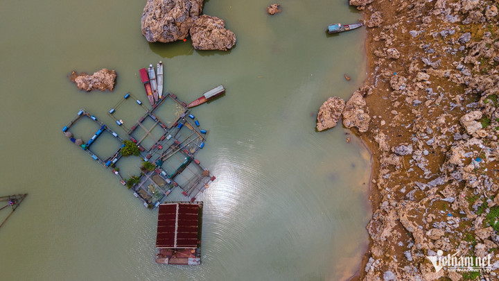 Nước rút đến đâu, các hộ nuôi cá lại di chuyển lồng bè tới đó. Hiện họ chưa bị thiệt hại gì về kinh tế.