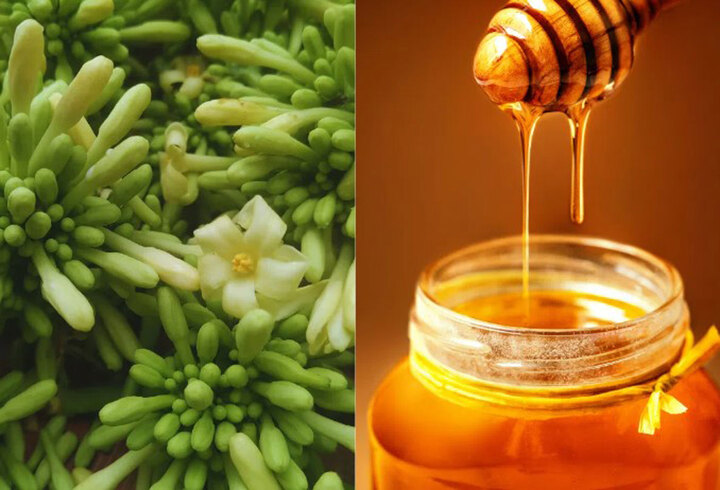 Nên uống mật ong ngâm hoa đu đủ đực vào thời điểm nào?