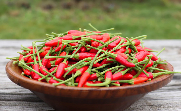 Ớt chín hẳn sẽ cay hơn ớt chưa chín. (Ảnh: Natureandnurtureseeds)