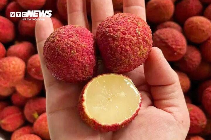 Vải không hạt Trung Quốc đổ bộ chợ Việt, giá gần 1 triệu đồng/kg - 3
