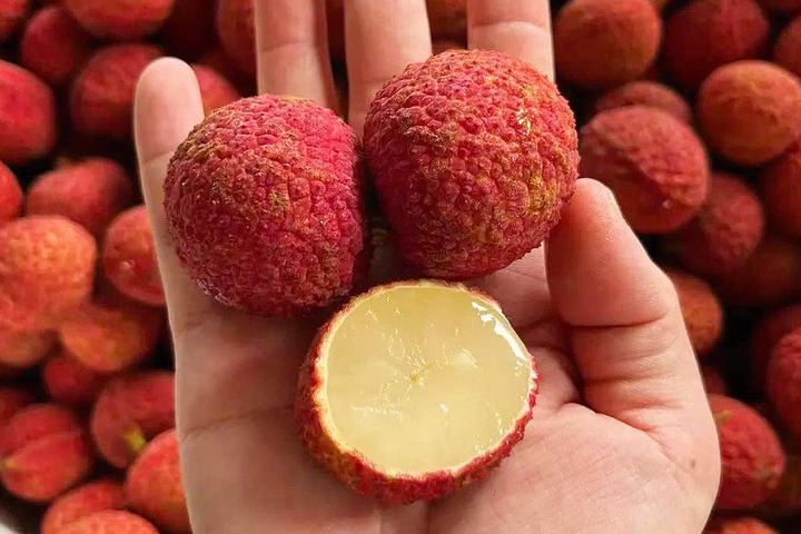 Vải không hạt Trung Quốc đổ bộ chợ Việt, giá gần 1 triệu đồng/kg