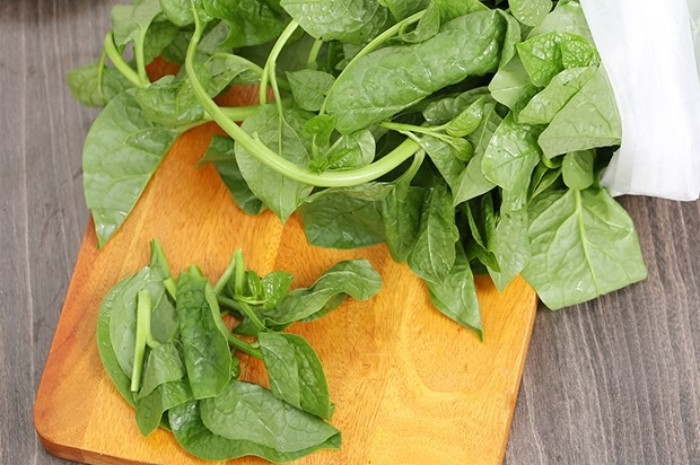 Mồng tơi là loại rau dân dã, quen thuộc trong bữa ăn người Việt. (Ảnh minh hoạ)