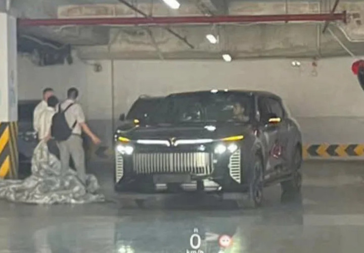 Rò rỉ ảnh thực tế VinFast VF 9 phiên bản đặc biệt - 1