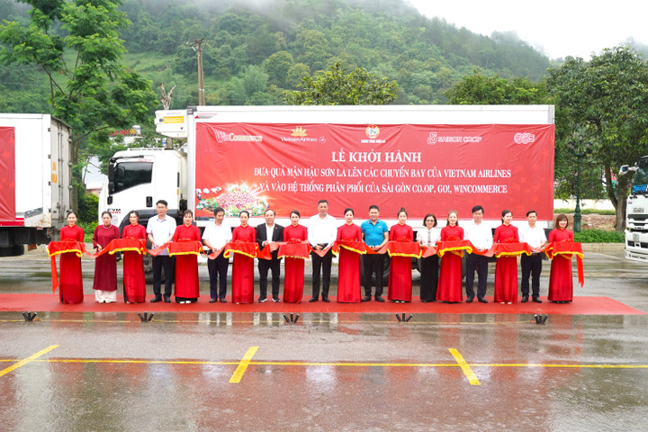 Lễ khởi hành chương trình Đưa quả mận hậu Sơn La lên các chuyến bay của Vietnam Airlines.