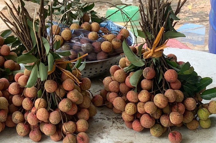 Những ai không nên ăn vải?