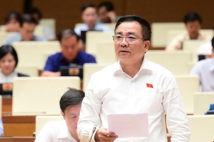 Delegate Nguyen Minh Duc. (Photo: National Assembly Media)