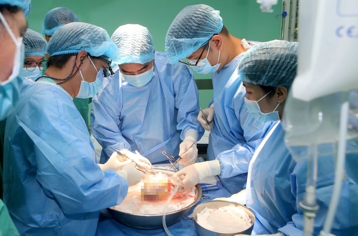 Nhân viên y tế tiến hành lấy tạng.