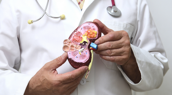 6 thói quen vào buổi sáng giúp bảo vệ thận